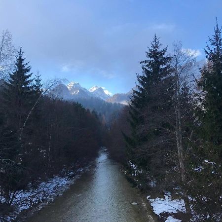 Auredius Deluxe Apartment Kranjska Gora Dış mekan fotoğraf